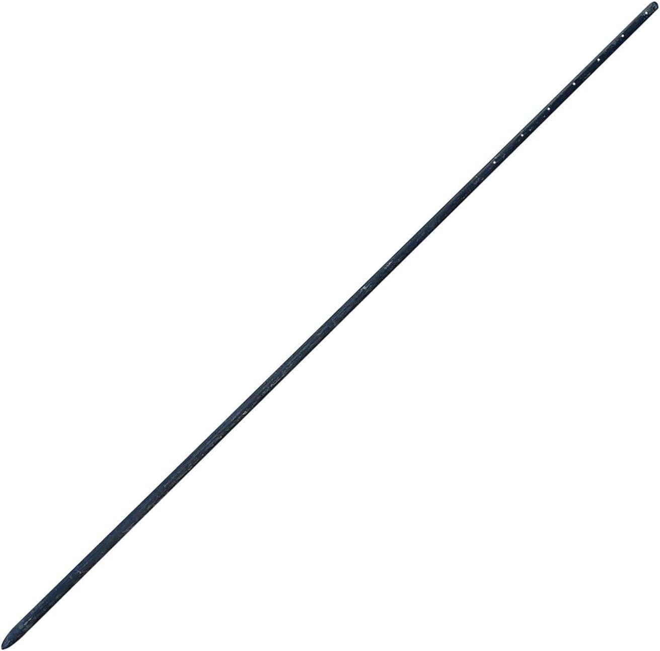 Sandbaggy Round Steel Concrete Form Stakes with Nail Holes - Rust Resistant Coating - Removable, Reusable (20, 3/4 in X 60 in)