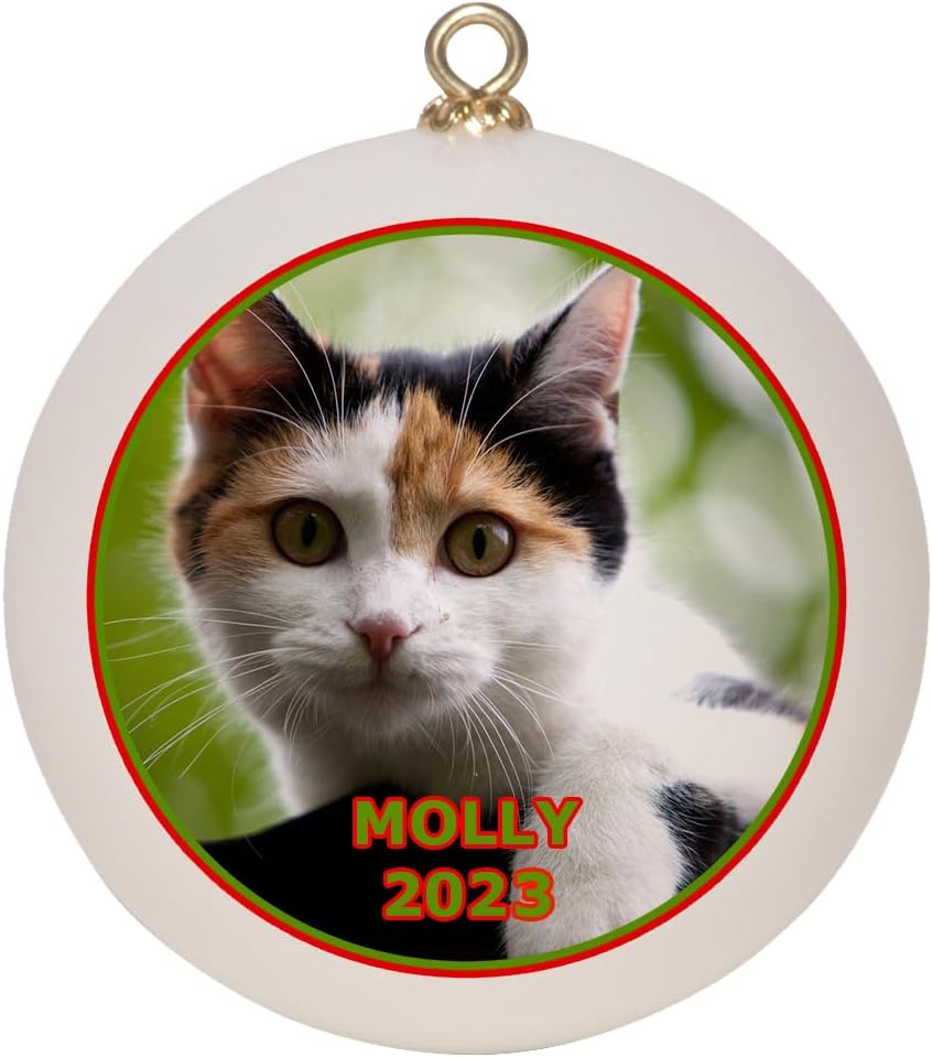 Custom Dog, Cat, or Pet Christmas Ornament Keepsake with Gift Box, Personalized Pet Picture with Pet Name, Shatterproof 2023 Holiday Ball Ornament for Pet Owners