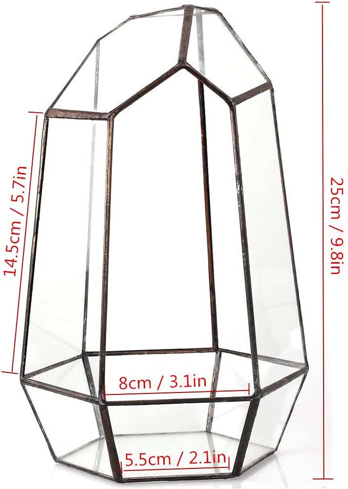 NCYP Geometric Glass Terrarium Planter for Succulent, Small Cacti, Black Irregular Opened Container Pot, Indoor Home Garden Office Tabletop Decor, 6.5" x 5.7" x 9.8" (No Plants, No Door)