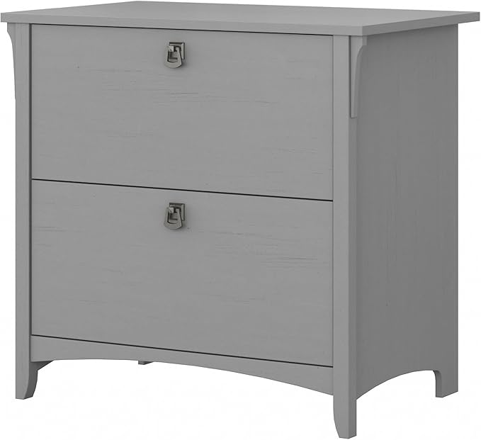 Bush Furniture Salinas 2 Drawer Lateral File Cabinet in Cape Cod Gray, Home Office Storage Solution, Organizer with Drawers for Workspace, Filing Unit