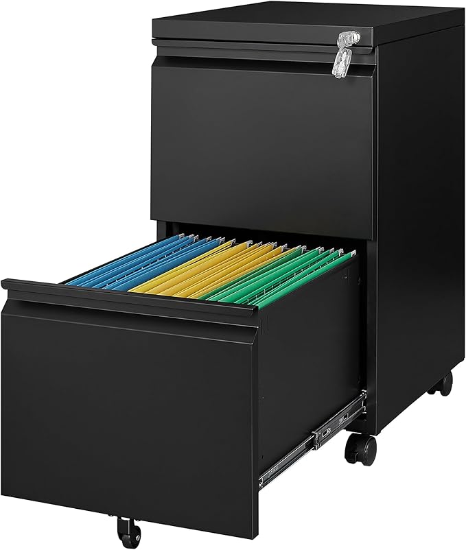 Rolling File Cabinet with Lock, 2 Drawer Metal Mobile Office Filing Cabinet Under Desk for Legal/Letter Size(Assembly Required)