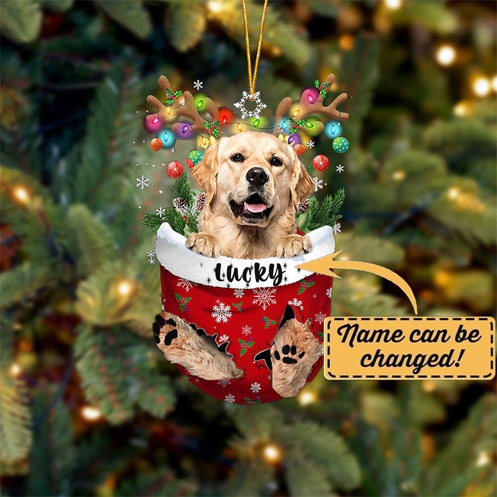 Golden Retriever 2 Dog Christmas Ornament, Golden Retriever 2 in Snow Pocket Christmas Tree Ornament, Dog Lovers Gift Idea Xmas, Christmas Decorations for Tree, Christmas Ornament Gift for Dog Lovers