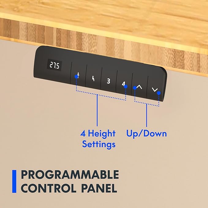 FLEXISPOT E3 Bamboo Dual Motor 72x30 Inch Electric Height Adjustable Standing Desk Whole-Piece Board Desk Sit Stand Up Desk (Black Frame + Bamboo Desktop)