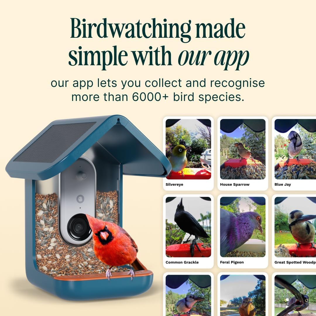 Birdbuddy PRO Solar Smart Bird Feeder with Camera - AI Bird Species Identification, 5MP Photos, 2K HD Video Live Stream Camera, Slow-Motion Video, 2.6in Focus - Blue Solar