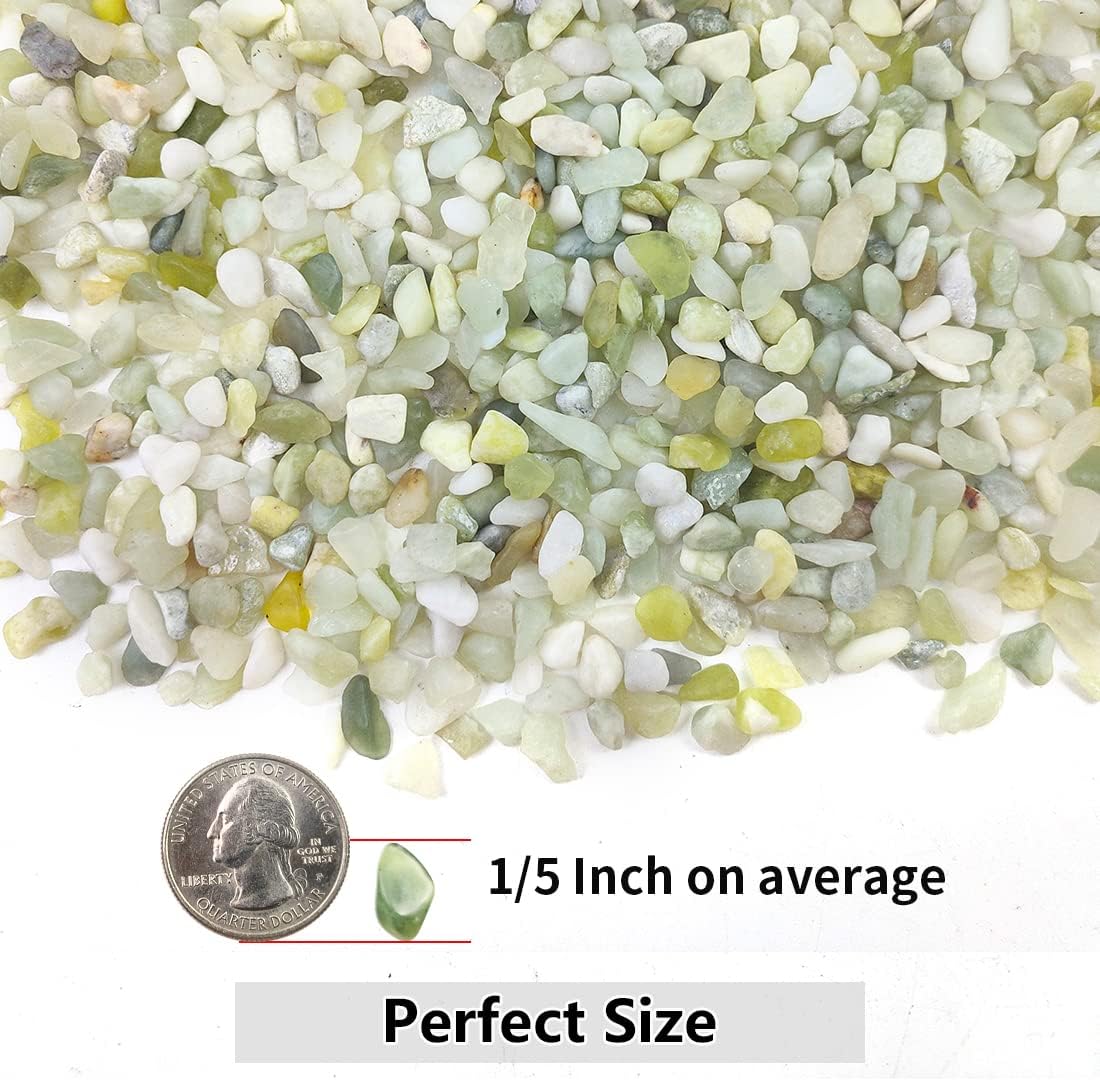 2LB Succulent and Cactus Pebbles, 1/5 Inch Jade Natural Decorative Polished Stones, River Rocks for for Indoor Plants, Vases, Planters and Outdoor Gardening