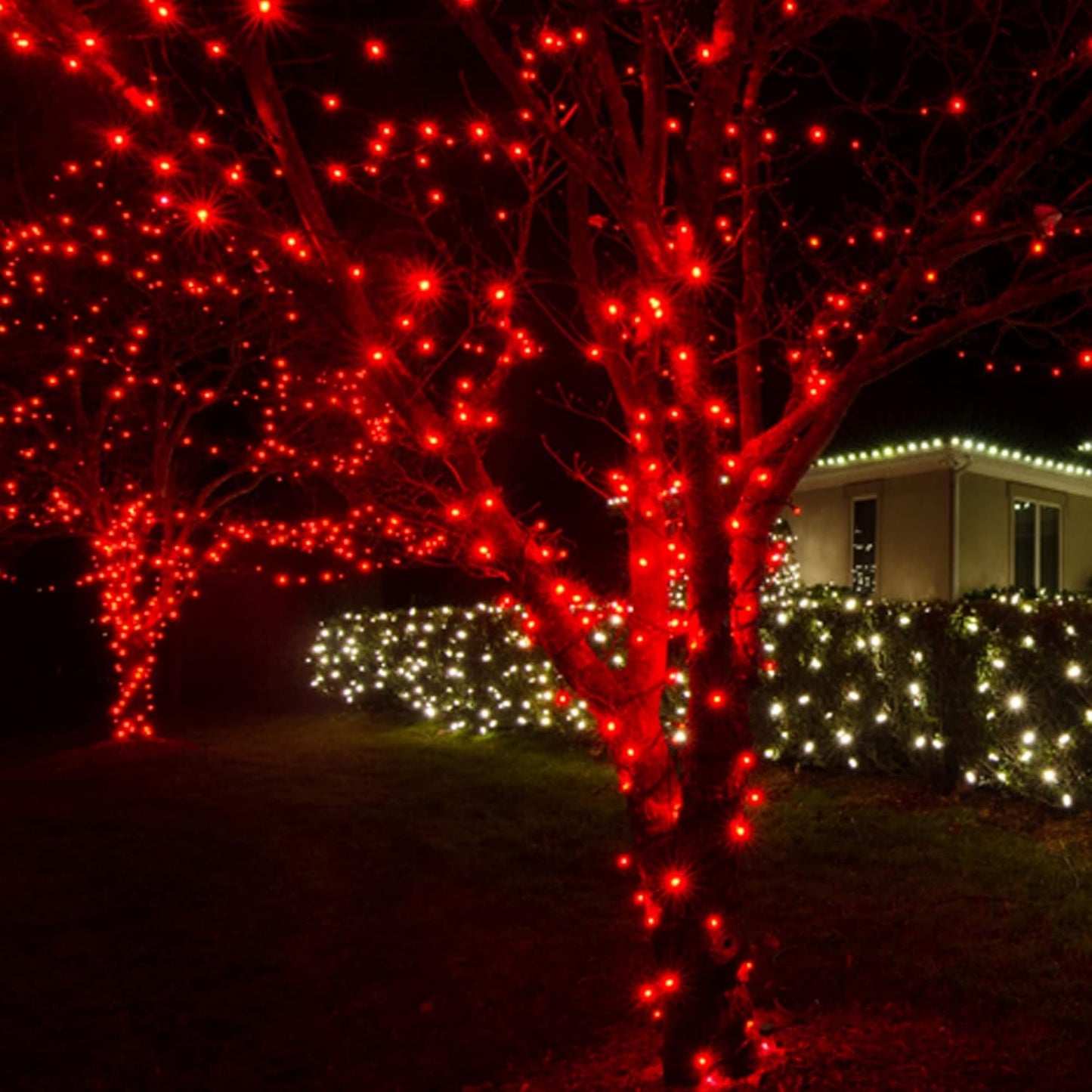 Dazzle Bright 300 LED Christmas String Lights, 100 FT Connectable Waterproof String Lights Green Wire with 8 Modes Christmas Decoration for Indoor Outdoor Party Yard Garden Decor (Red)