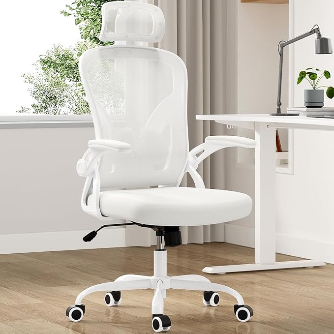 Farini Ergonomic Office Chair, Home Office Desk Chair with Headrest, High Back Computer Chair with Armrests and Adjustable Lumbar Support for Home Office Study Room, White & White