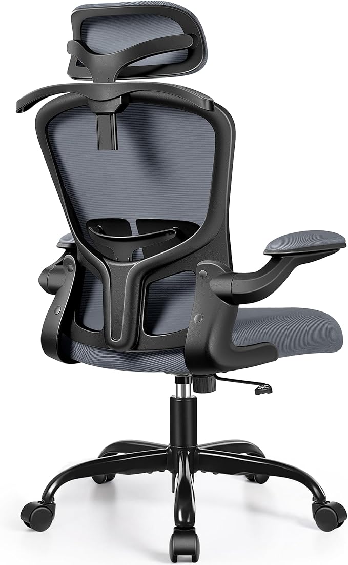 FelixKing Ergonomic Office Desk Chair with Headrest, Adjustable Lumbar Support, Height and Swivel, Comfy Task Chair with Flip-up Armrests, Ergo Mesh Backrest for Working Dark Gray