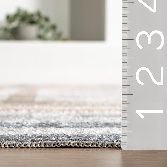 nuLOOM 9' x 12' Machine Washable Stain-Resistant Area Rug Low Profile for Living Room, Bedroom, and Dining Room, Alienor Multicolor