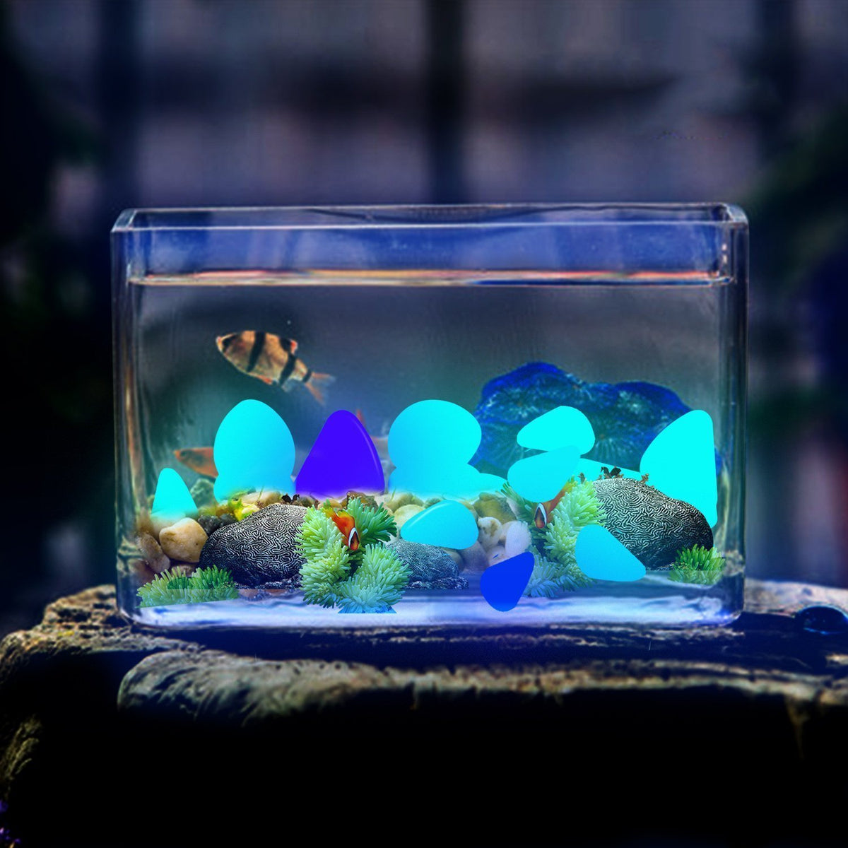 Glow in The Dark Pebbles for Outdoor Decor, Garden Lawn Yard, Aquarium, Walkway, Fish Tank, Pathway, Powered by Light or Solar-Recharge Repeatedly, Luminous Pebbles (Blue-200)