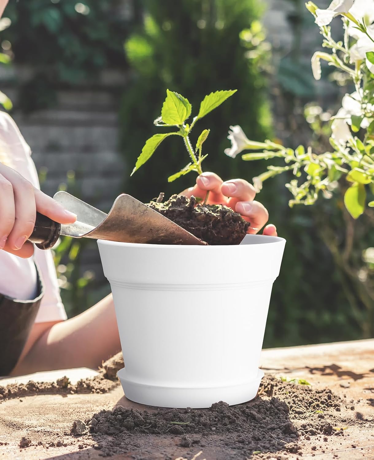 homenote Plant Pots,6 Inch Flower Pots for Plants Plastic Planters for Indoor with Multiple Drainage Holes and Trays, for All Home Garden Flowers Succulents,Outdoor(White&Red,16 Pack)