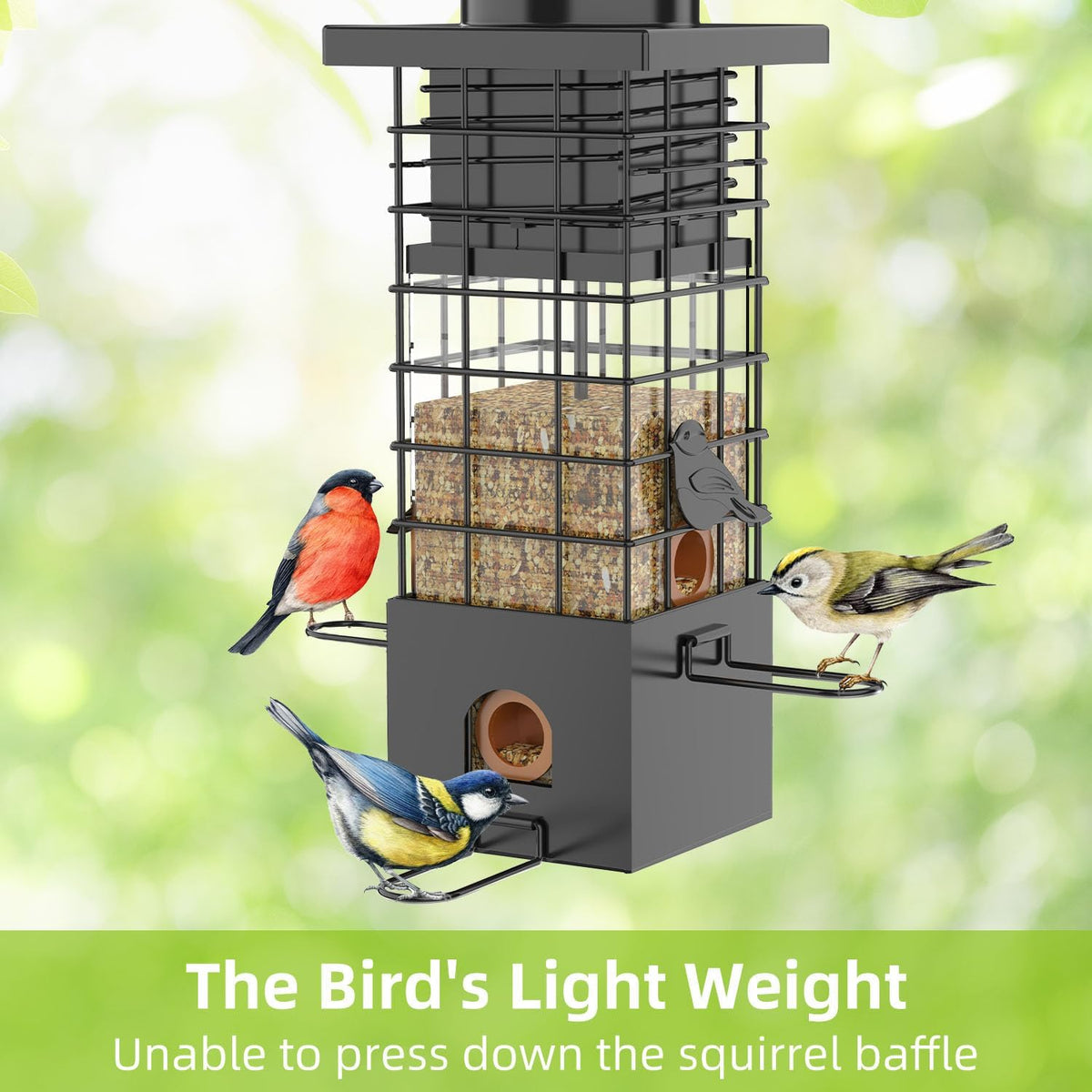 KRUOO Metal Squirrel Proof Bird Feeder for Outdoors Hanging,Wild Bird Feeders for Outside, 2.5 lb Capacity