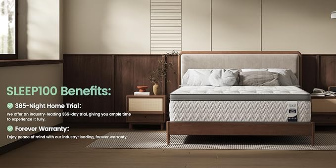 Twin Mattress 10 Inch – Hybrid Mattresses for Back Pain, Extra Lumbar & Shoulder Support, Fiberglass-Free & No Odor, 365-Night Trial