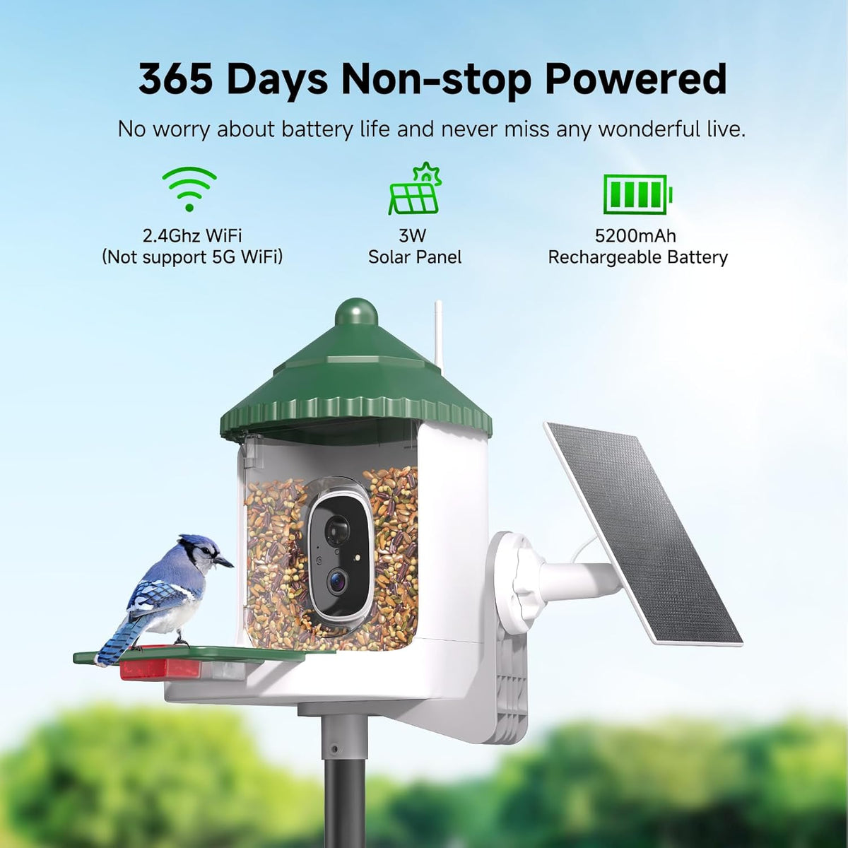 Bird Feeder with Camera AI Identify 2K Live Video Smart Bird Feeder with Camera, 2.4GHZ WiFi Solar Birds House Cameras, Motion Detection Instant Arrival Alerts, Ideal Present for Birds Lovers