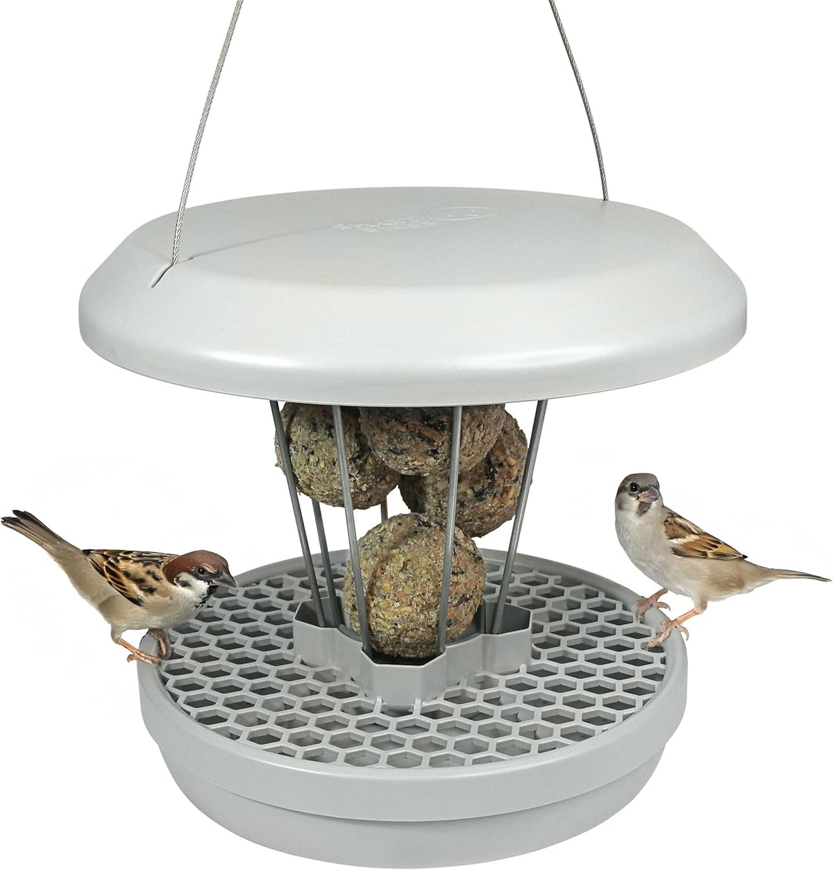 SWISSINNO No Mess Bird Feeder Lucerne Smart Birds for Fat Balls - Feed Birds, not mice & Rats! Robust & Reliable for Hanging - Light Grey