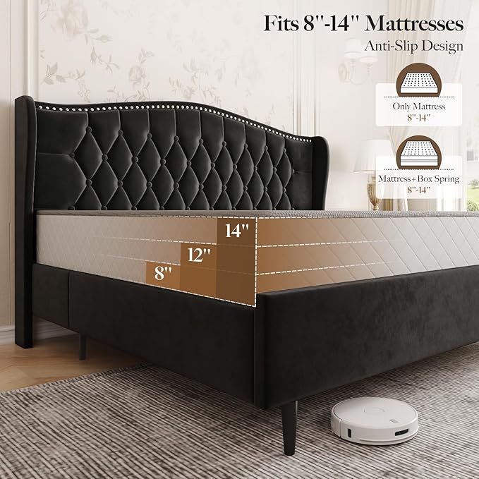 Belffin Queen Bed Frame with Headboard, Luxury Upholstered Velvet Platform Bed with Wingback, Button Tufted & Nailhead Trim, Anti-Slide Tall Footboard, No Box Spring Needed, Noise-Free, Black