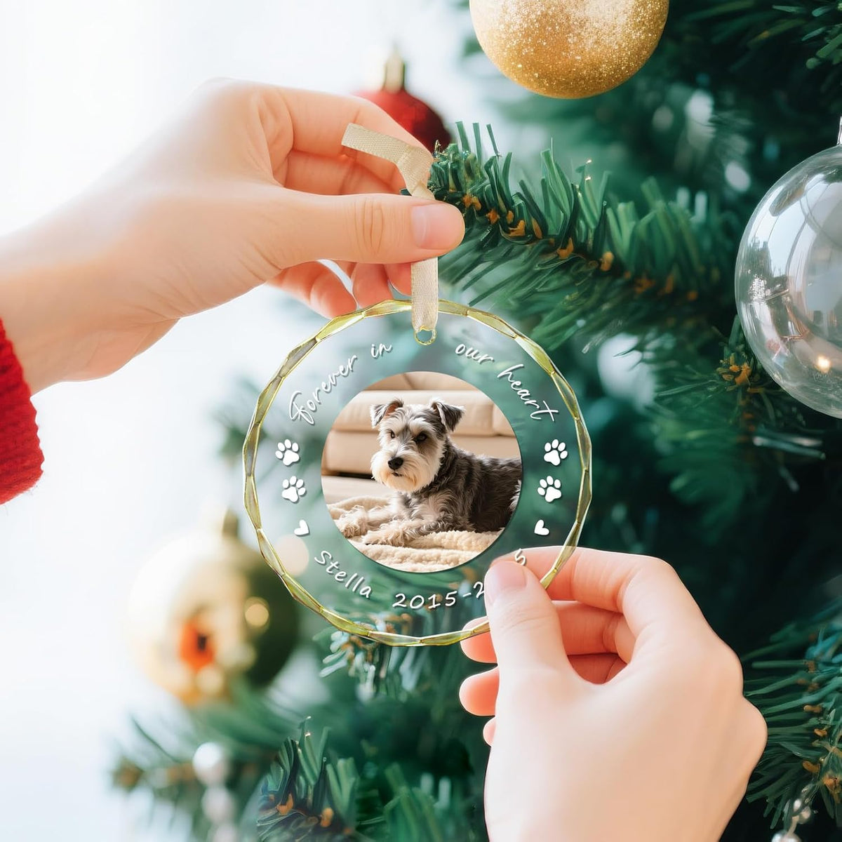 Personalized Pet Memorial Gifts - Custom Photo, Name & Dates - Forever in Our Hearts Acrylic Keepsake Ornament - Dog Memorial Gifts for Loss of Dog, Cat