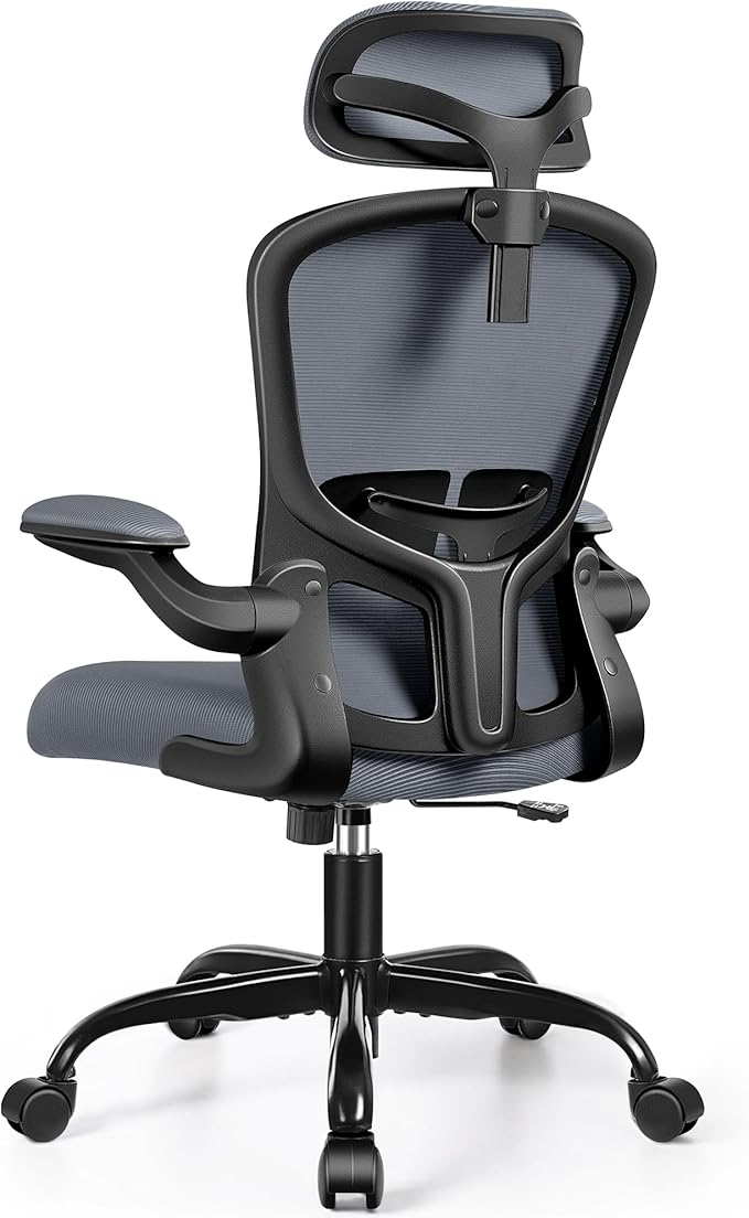 FelixKing Office Desk Chairs, Ergonomic PC Desk Chair with Wheels, Adjustable Lumbar Support and Height, Swivel Computer Chair with Flip-up Armrests, Ergo Mesh Backrest for Working (Dark Gray)