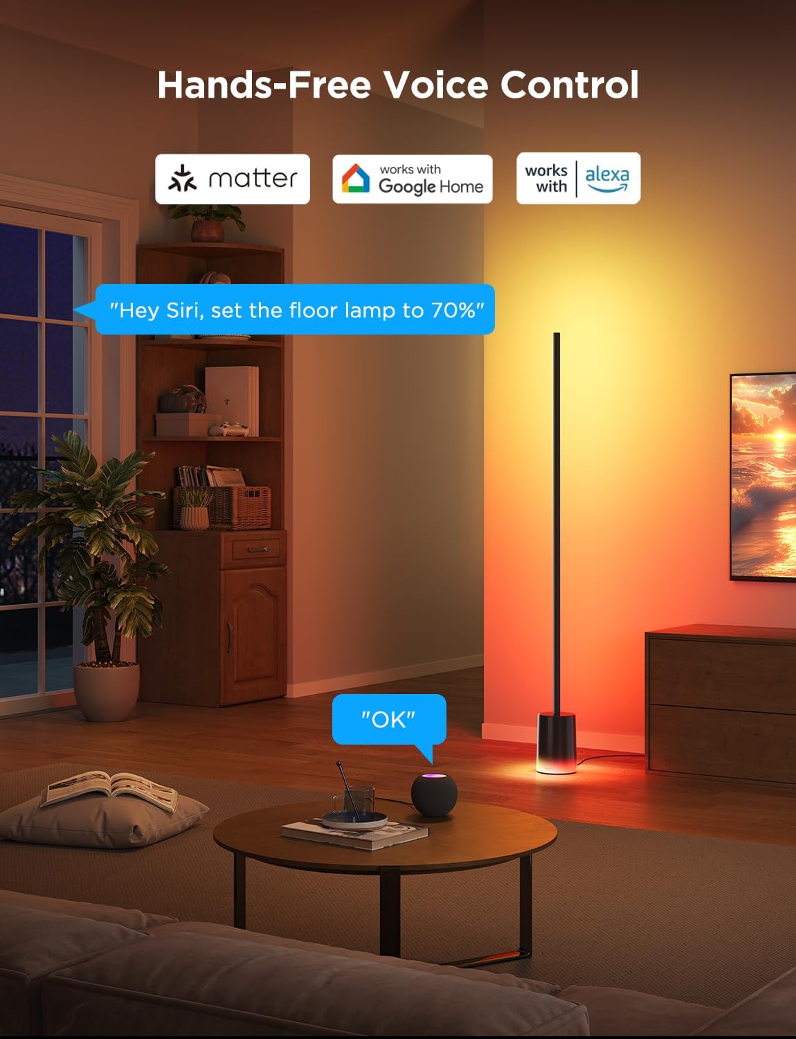 Govee Floor Lamp 2 with Matter, RGBIC, Warm Cool White LED, Alexa Compatible, 1725lm, Music Sync, Scene Modes, Smart Floor Lamp for Living Room, Bedroom, Black(1 Pack)