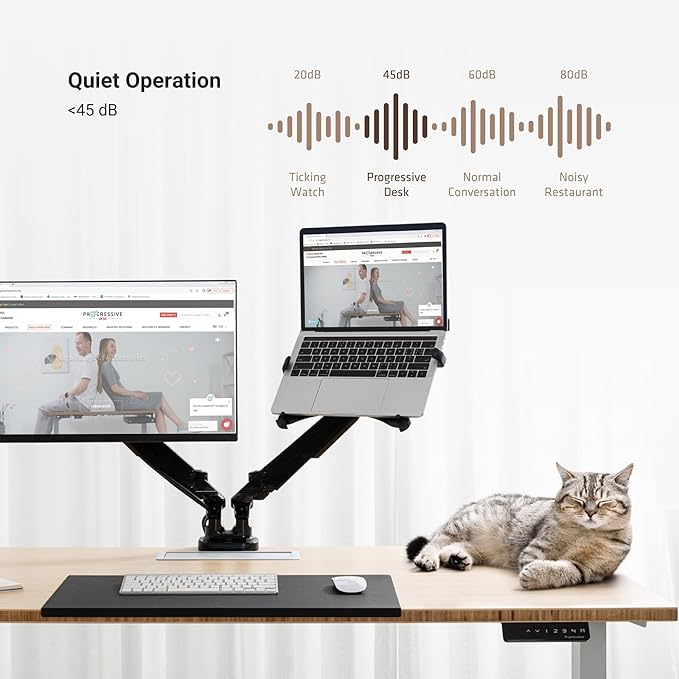 Progressive Desk Stand Up Height Adjustable Electric Standing Desk - 48" x 30" with Dual Motor, 3 Stages Sit Stand Table - Ebony Oak, Gray Frame