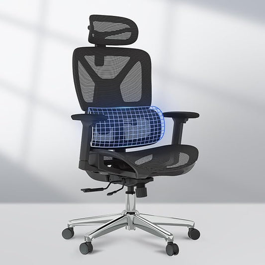 FLEXISPOT ErgoX Premium Ergonomic Office Chair Black - Adjustable 3D Armrests, Dynamic Lumbar Support, Recline & Tilt Function, Mesh Seat, for Home & Office Use