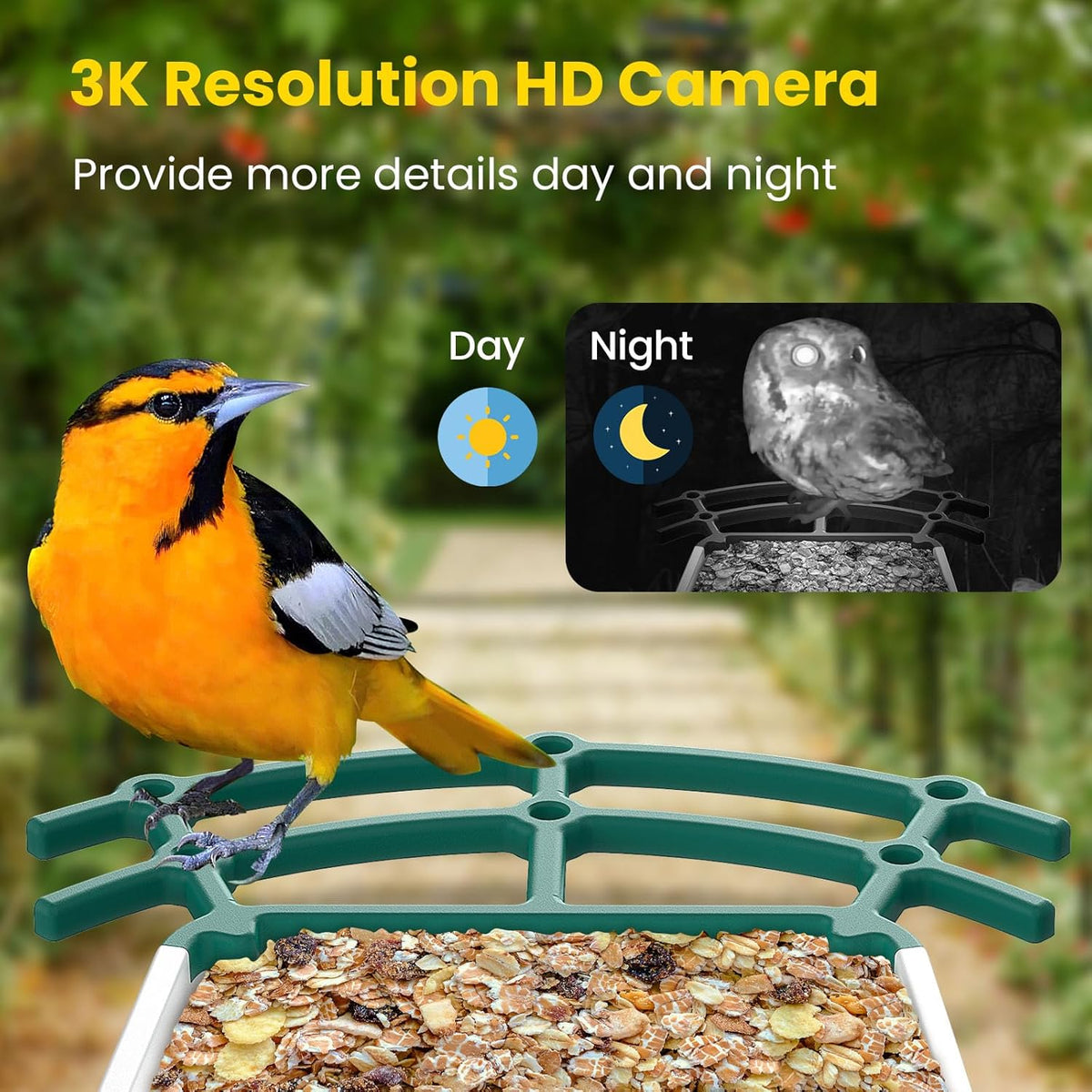 Bird Feeders for Outdoors, Smart Bird Feeder with Camera Solar Powered, AI Species Identification, 3K Video Live Stream Camera, 5Mp HD Night Vision, Instant Arrival Alerts (Light Green)