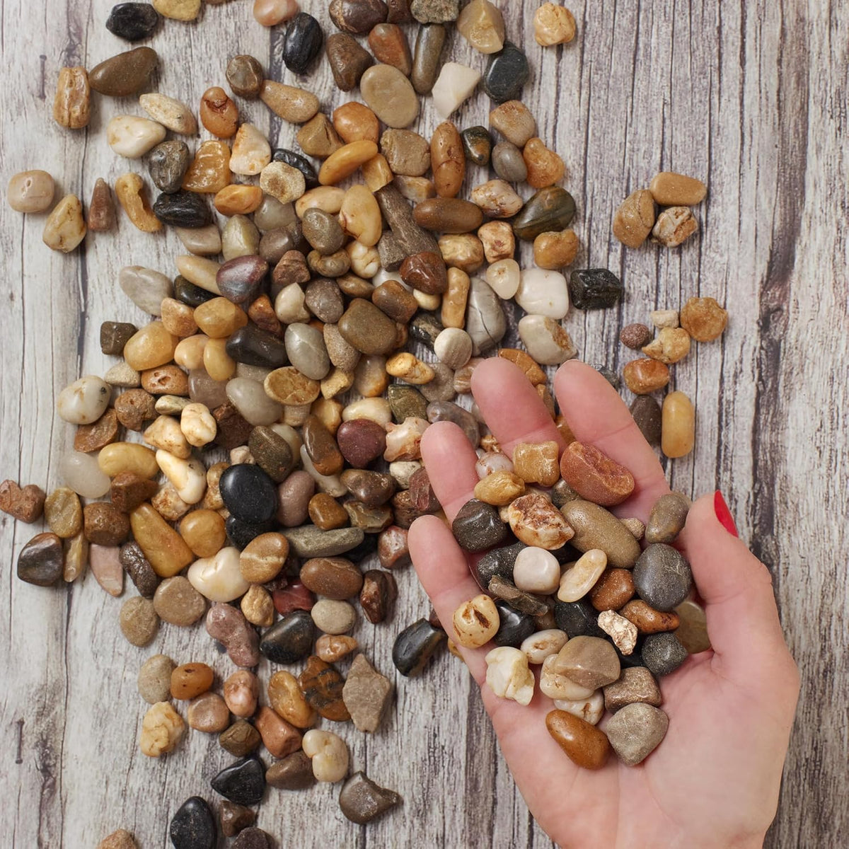 Royal Imports 1LBS River Rocks Decorative Ornamental Pebbles, Garden Landscaping Stones, Gravel Filler for Plants, Vases, Succulents, Home Decor, Aquariums, Crafting, Animal Habitat - Small Natural