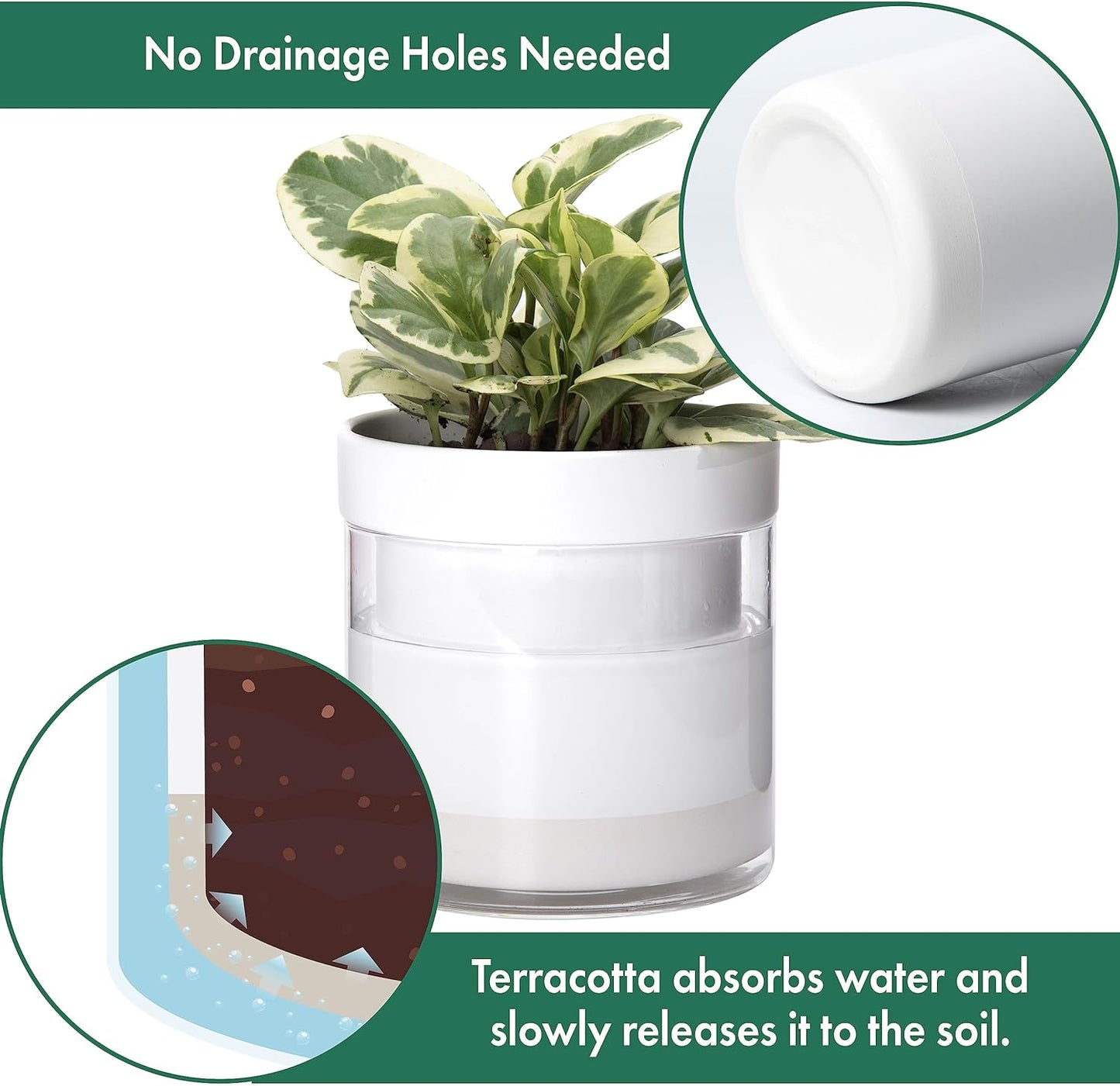 Phoenix Vine 6 Inch Self Watering Planter, White Terracotta Clay Pot with Glass Reservoir for Indoor Plants, Herbs, Flowers, Set of 2, 52-B-F-2