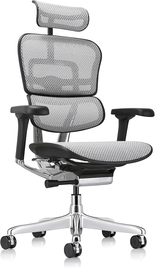 Ergohuman Eurotech ME7ERG GEN2 High Back Mesh Office Chair with Tilt Tension Control, Tilt Lock, Back Angle, Back Height, Synchro Tilt, Seat Height, Seat Depth, and Arm Height Adjustments, Grey