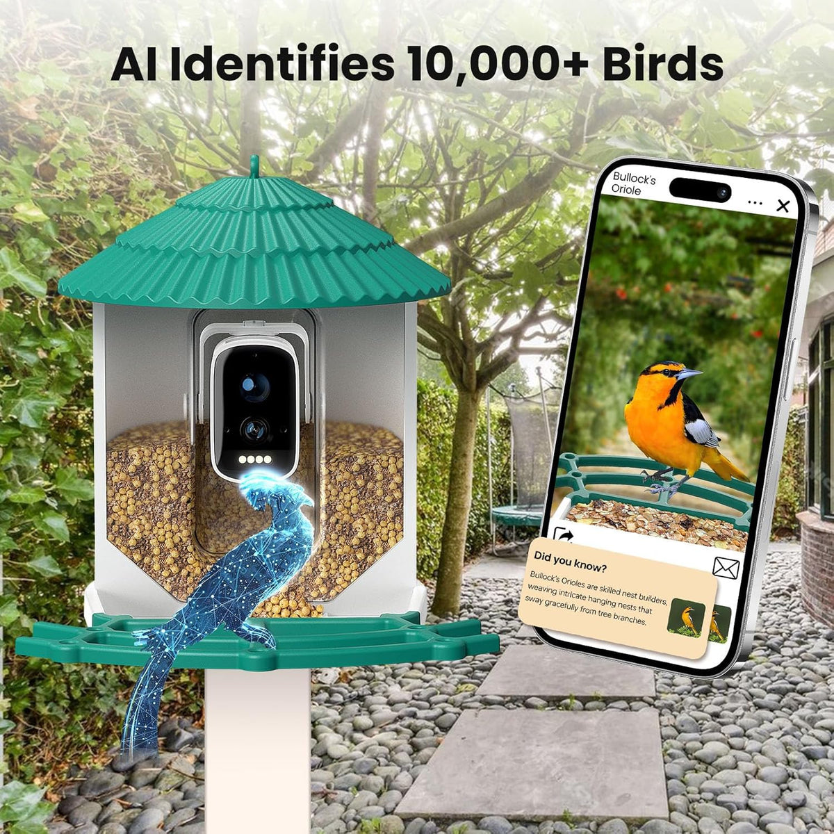 Bird Feeders for Outdoors, Smart Bird Feeder with Camera Solar Powered, AI Species Identification, 3K Video Live Stream Camera, 5Mp HD Night Vision, Instant Arrival Alerts (Light Green)