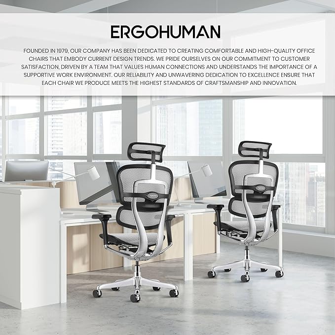 Ergohuman Eurotech ME7ERG GEN2 High Back Mesh Office Chair with Tilt Tension Control, Tilt Lock, Back Angle, Back Height, Synchro Tilt, Seat Height, Seat Depth, and Arm Height Adjustments, Grey