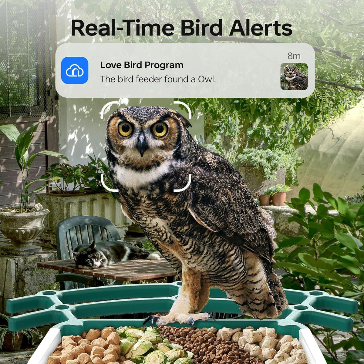 Bird Feeders for Outdoors, Smart Bird Feeder with Camera Solar Powered, AI Species Identification, 3K Video Live Stream Camera, 5Mp HD Night Vision, Instant Arrival Alerts (Light Green)