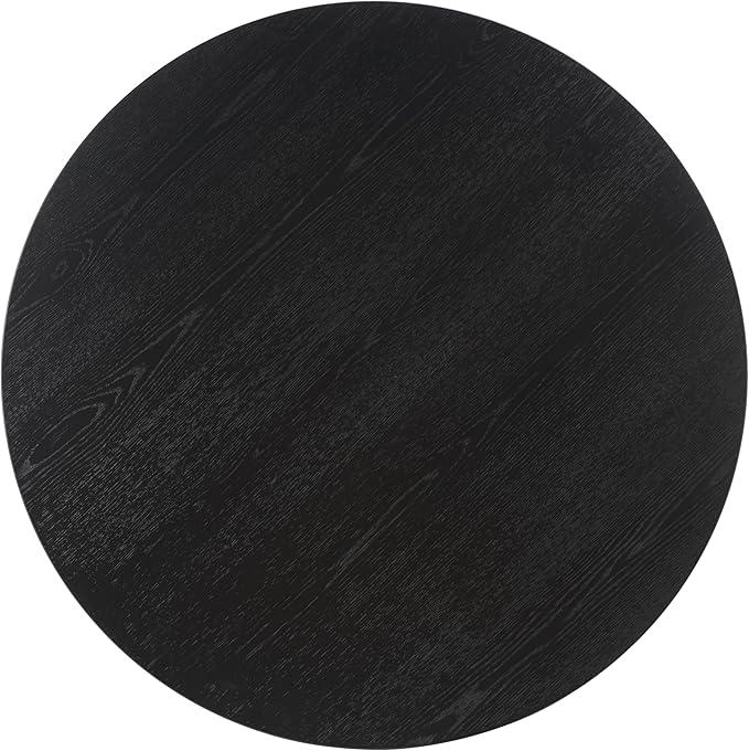 SAFAVIEH Couture Collection Sasha Contemporary Black Round Coffee Table