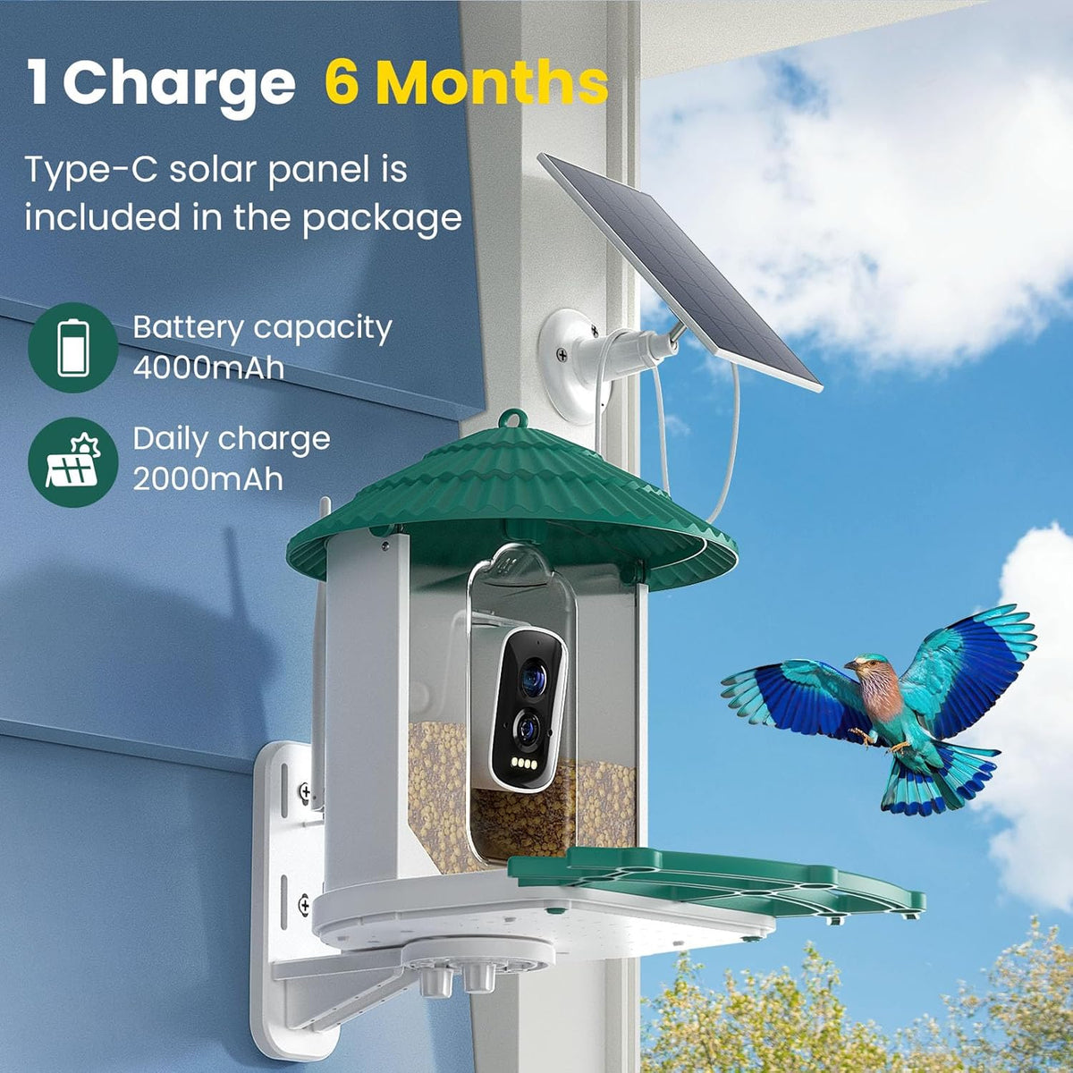 Bird Feeders for Outdoors, Smart Bird Feeder with Camera Solar Powered, AI Species Identification, 3K Video Live Stream Camera, 5Mp HD Night Vision, Instant Arrival Alerts (Light Green)