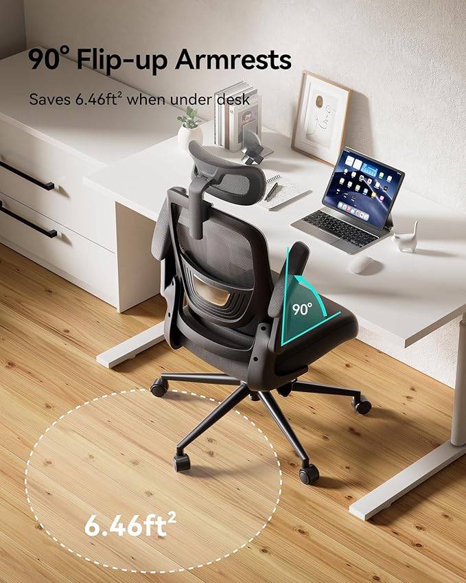 Hbada P1 Ergonomic Office Chair, Desk Chair with Adjustable Lumbar Support, Home Office Desk Chair with 2D Headrest, Flip-up Armrest, Swivel Computer Chair, Black