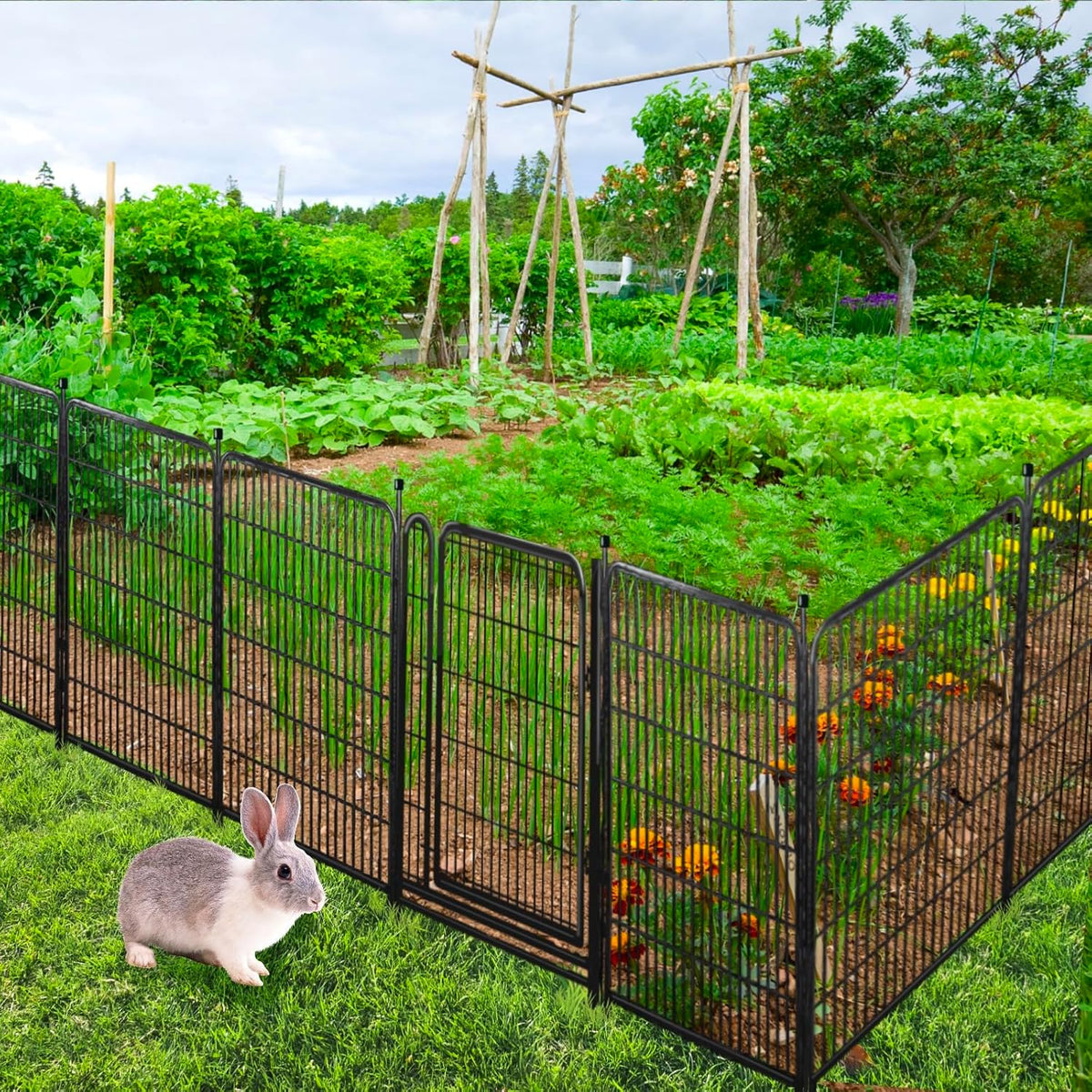 Tall Garden Fence and Borders,Wide Gate Low Threshold Fence Panels, 40in(H) 4 Panels Total 8.9 Ft(L) Animal Barrier Fence, Heavy Metal Dog Fence Outdoor for Yard
