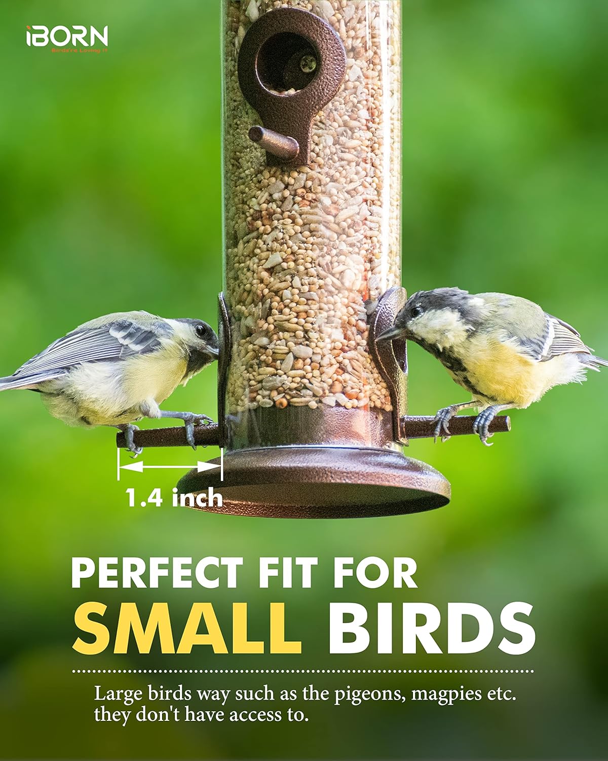 iBorn Metal Bird Feeder Hanging Wild Bird Seed Feeder for Mix Seed Blends Heavy Duty All Metal Coffee Finish,14 Inch 6 Port,Pack of 2